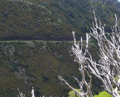 Atividades_visit_calheta1