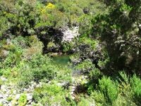 Levada_Lajeado