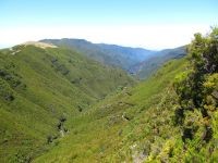 Levada_Alecrim