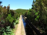 Levada_Alecrim