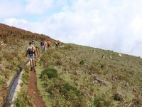 Levada_Paul_II