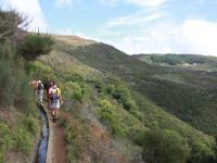 Levada_Paul_II