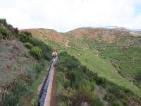 Levada_Paul_II