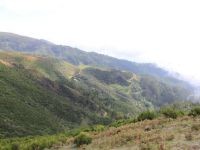Levada_Paul_II