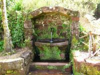 Levada_do_Risco