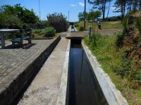 Levada_Nova_Da_Calheta