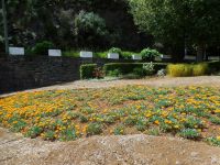Levada_Nova_Da_Calheta