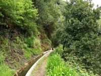 Levada_Nova_do_Arco_da_Calheta